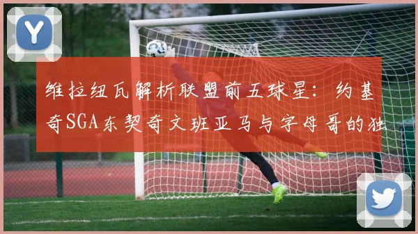 维拉纽瓦解析联盟前五球星：约基奇SGA东契奇文班亚马与字母哥的独特魅力