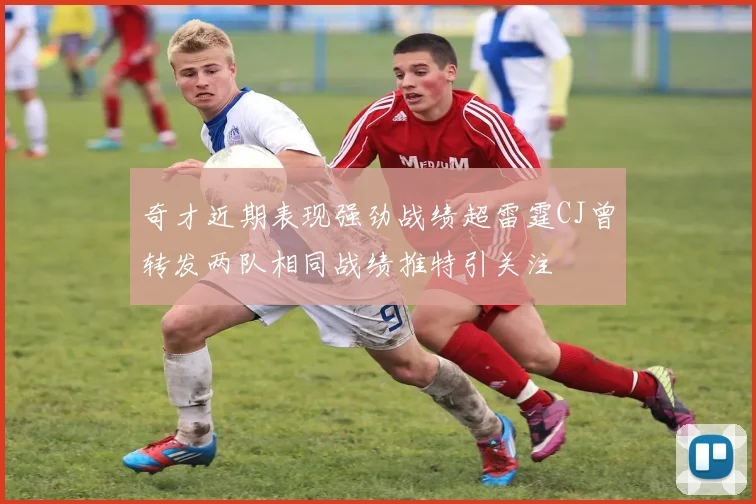 奇才近期表现强劲战绩超雷霆CJ曾转发两队相同战绩推特引关注
